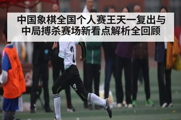 中国象棋全国个人赛王天一复出与中局搏杀赛场新看点解析全回顾